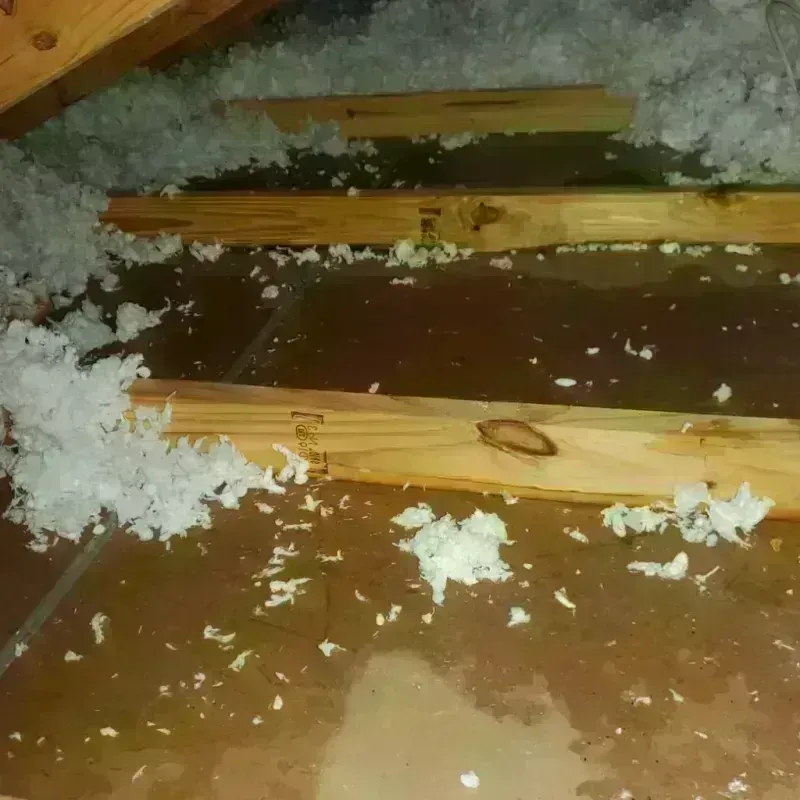 Attic Water Damage in Lincoln, VT